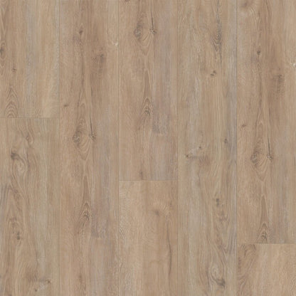 IN_SEE_iDeal_SPC_50_Cooper_Wood