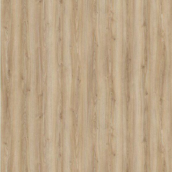 Ламиниран паркет 8мм Kaindl K2241 AC533, Оak Cordoba Crema, Aqualine Collection, V4