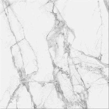 SPC STONE - Calacatta Snow