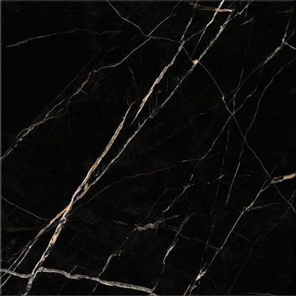 SPC STONE - Calacatta Black